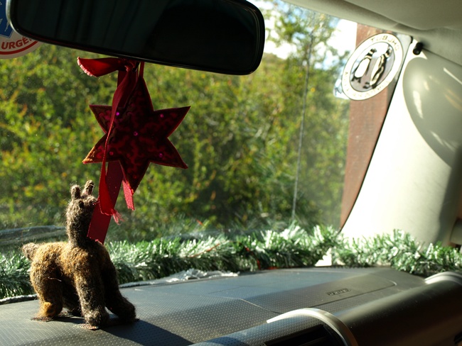 ../../Pictures/240110/026 statt Weihnachtsbaum.JPG